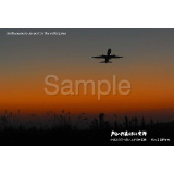 airport_02_11